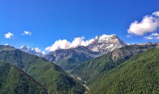 20课青山不老生字组词 青山不老的课堂笔记