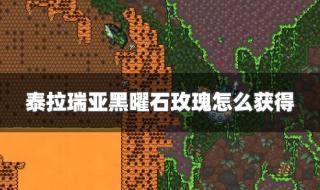 泰拉瑞亚黑曜石套装 泰拉瑞亚黑曜石套装