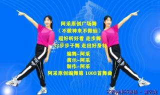 不做神来不做仙原唱mv 不做神来不做仙原唱