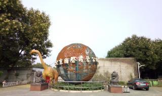 野营开放区 野营开放区