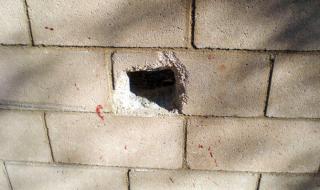 如果狗狗的喉咙被骨头卡住了怎么办 狗狗被卡住了怎么办