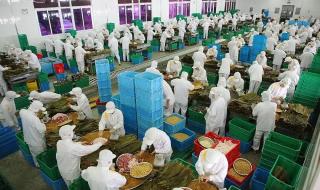 粽子自动化生产线