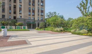 万科公园里 万科公园里