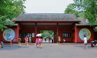 我看诸葛亮 我看诸葛亮