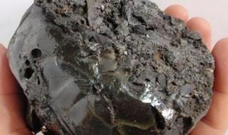 我来自火星 我来自火星