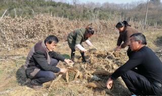 如何处理滞销宝贝 如何处理滞销宝贝