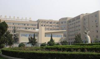 2021专科生和本科就业比例 专科就业率排行榜