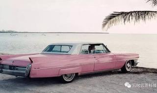 教练把我压在方向盘上 教练把我压在方向盘上