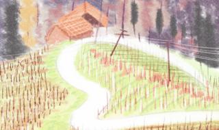 2023全国大学生马拉松比赛时间 马拉松最长时间规定